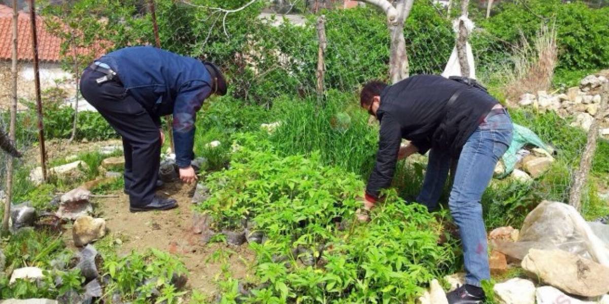 DETAJE & EMRI/ Si bashkëpunonte me trafikantët e drogës punonjësi i Policisë në Kolonjë