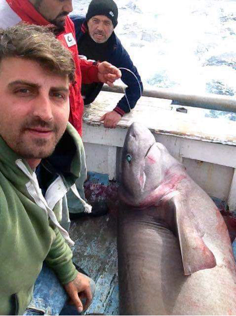 FOTO LAJM/ Peshkatari vlonjat “kalëron” peshkaqenin 4 metër të gjatë