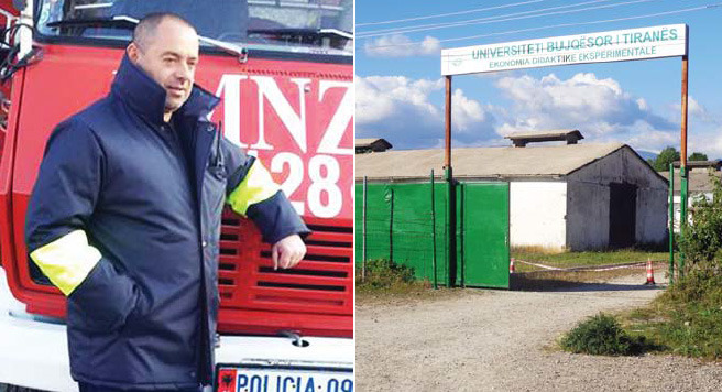 Vrasja e vëllait, dyshimi se kërkonte të mbillte drogë në pronë