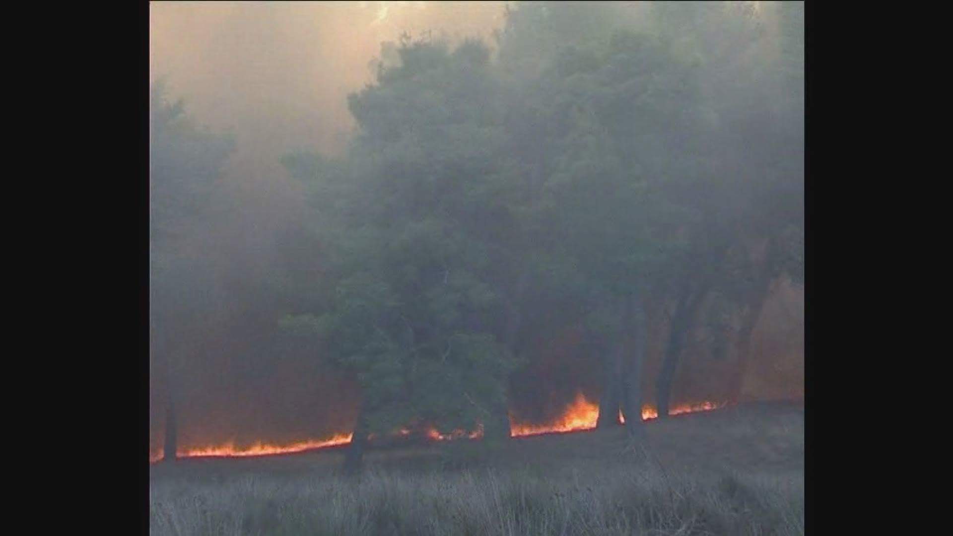 Qytetari dixhital: Zjarri në Bish Poro, i dogjën hashashin Etjonës dhe Habilajve