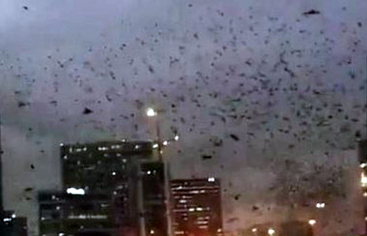 VIDEO/ Nuk është shenjë e mirë, mijëra zogj të zinj fluturojnë në qiell në formacionin e një gjarpri