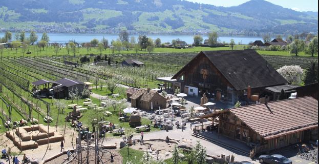 Zvicra kërkon punëtorë me pagë 3200 franga në muaj, ja detajet