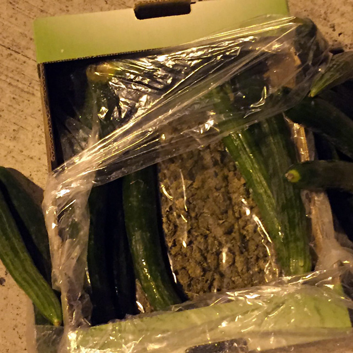 DETAJE & FOTO/ Porti Durrës, ja si u gjet droga e fshehur mes kastravecëve