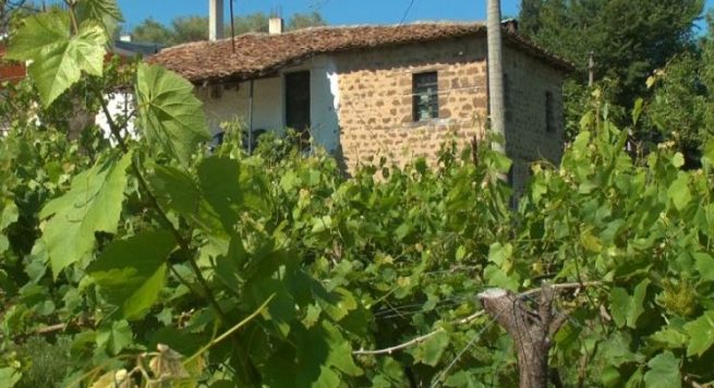 Fier, rrëshqitjet e tokës dëmtojnë banesat, dy vëllezërit në mes të rrugës