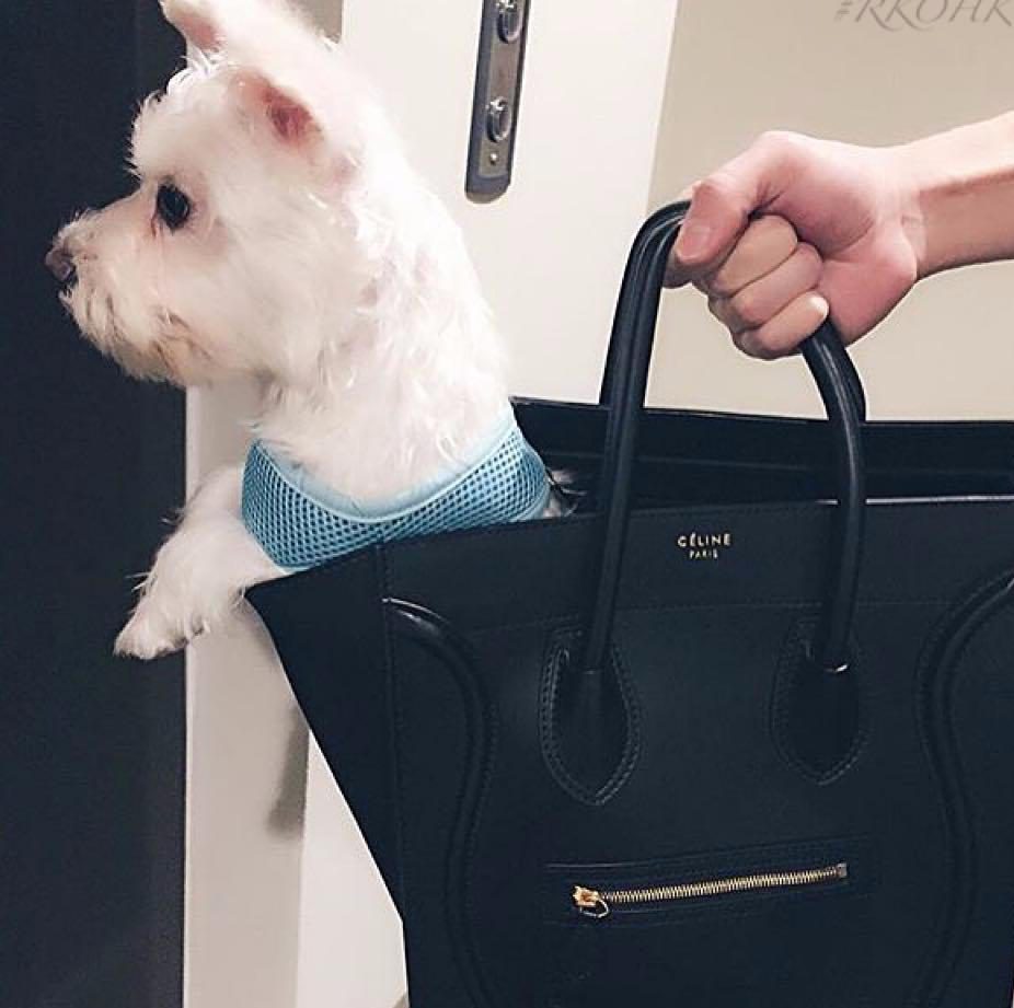 FOTO GALERI/ Jahte, avionë, supermakina, jeta e çmendur e pasanikëve  të Hong Kongut