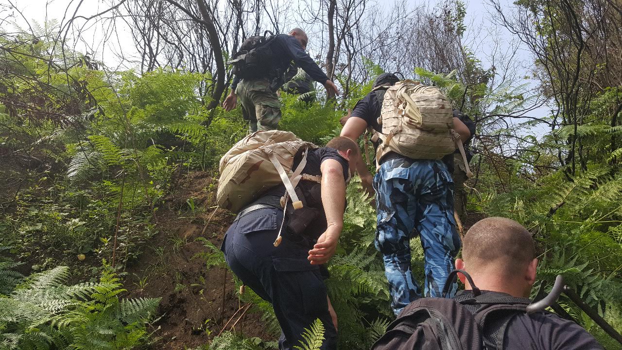 Krujë, operacion antidrogë, asgjësohen 850 bimë narkotike