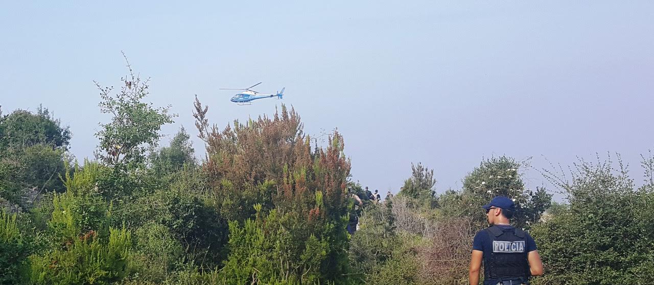 Krujë, operacion antidrogë, asgjësohen 850 bimë narkotike