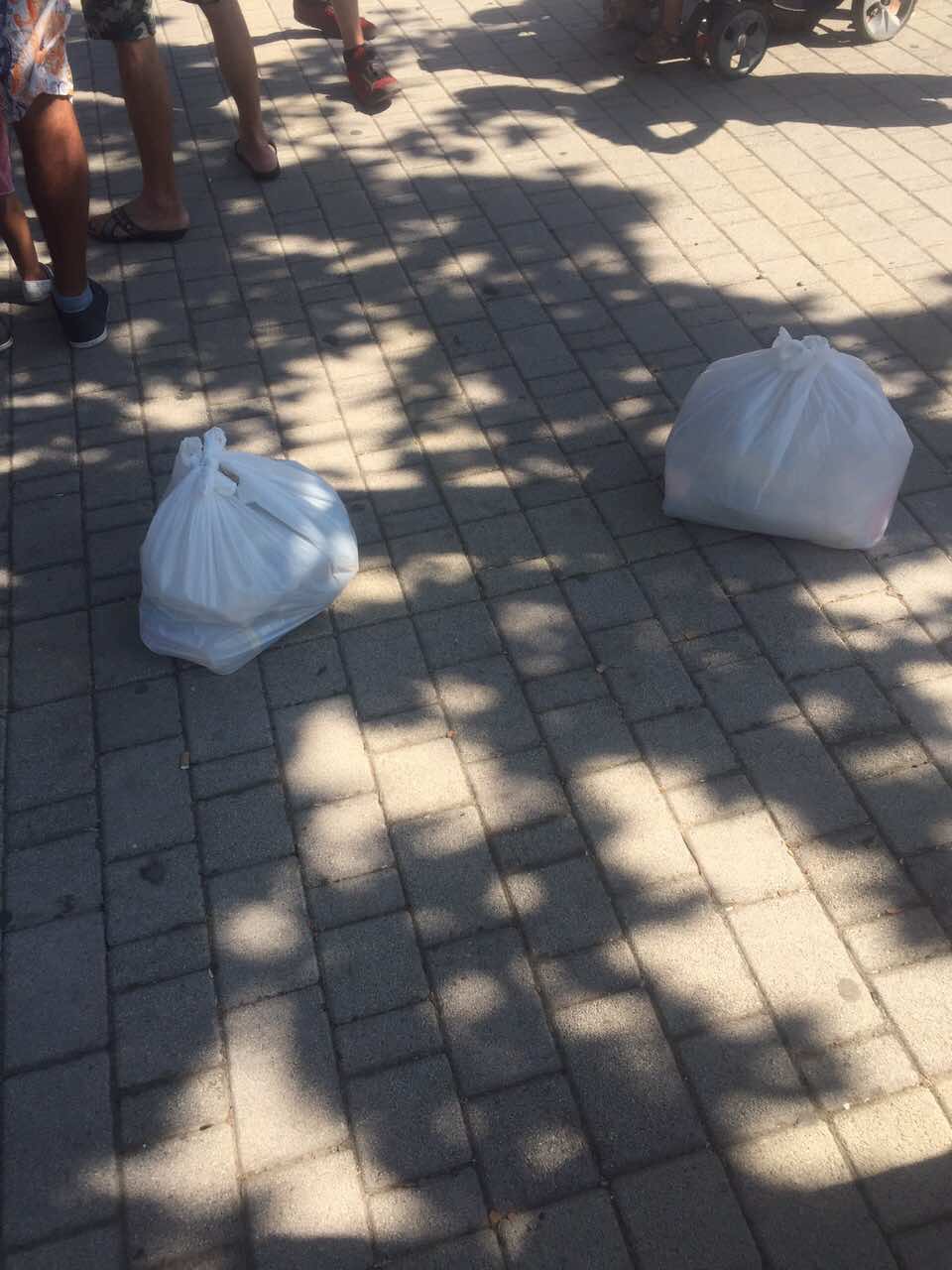 VIDEO & FOTO GALERI/ Shkodër, ja kush e uli “pazarin” e votës në “nivelin” e një qese me ushqime