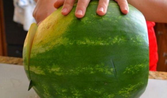 FOTO/ Kur ndau më dysh shalqinin mbeti pa fjalë cfarë pa