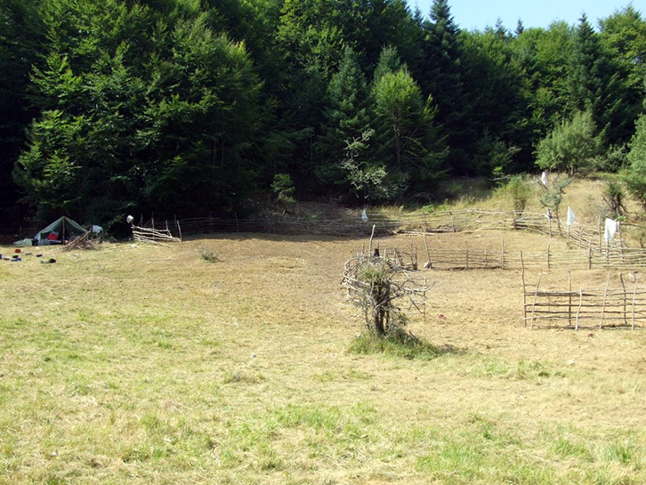 VLORË/Po vriste vëllain në stan, ja c’bën policia