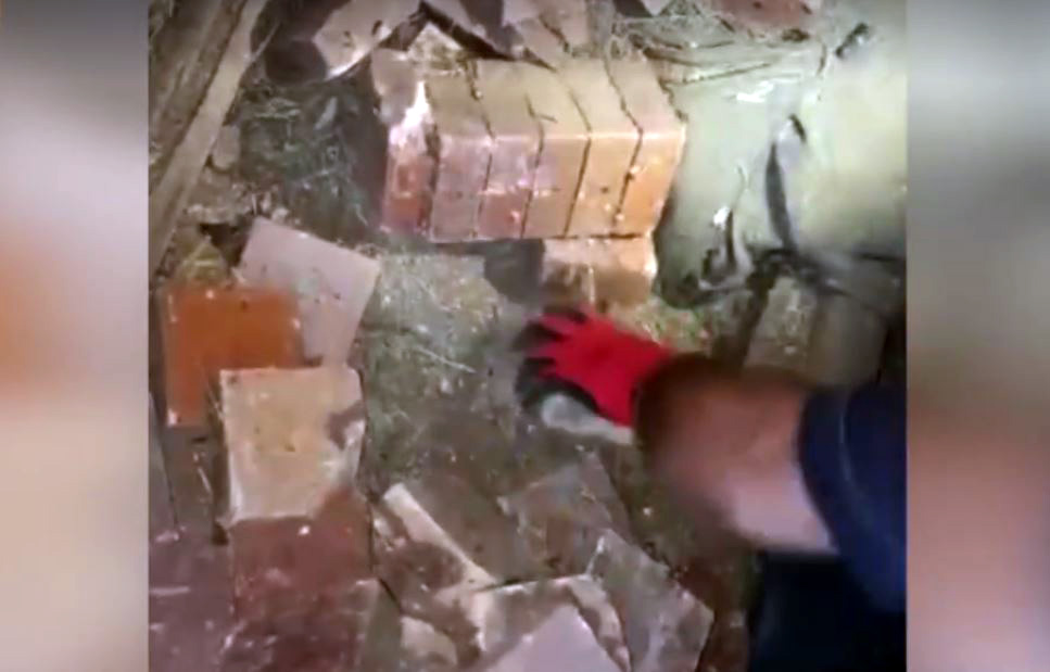 VIDEO/ Pukë, shpallen në kërkim 4 vëllezër, e kishin kthyer shtëpinë në magazinë droge e tritoli