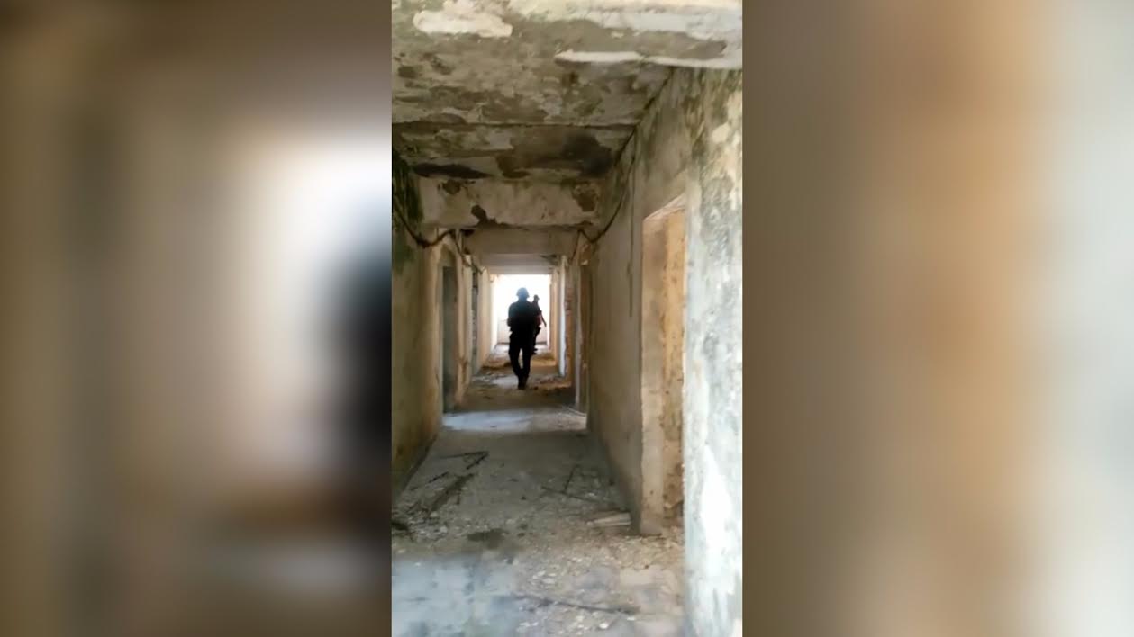 Vlorë, operacion antidrogë, sekuestrohen drogë dhe mjetet e transportit, 4 të arrestuar