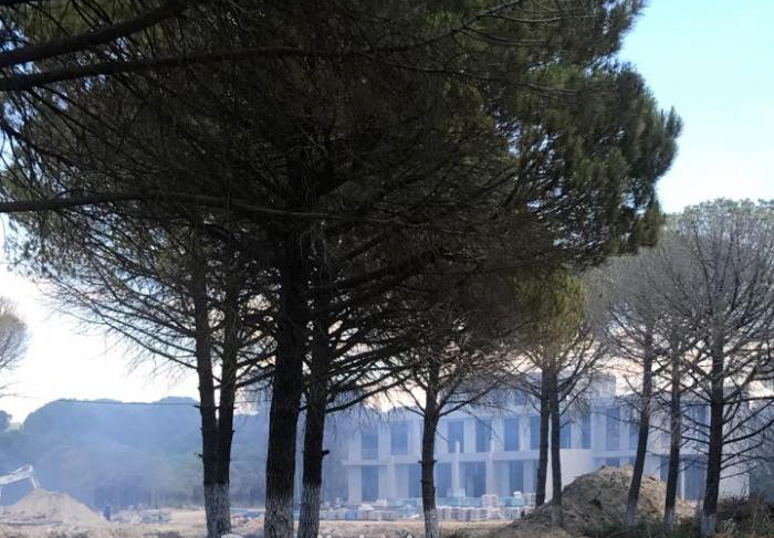 FOTO GALERI & VIDEO GALERI/ Zjarr i madh te Gjiri i Lalzit, digjen edhe disa makina