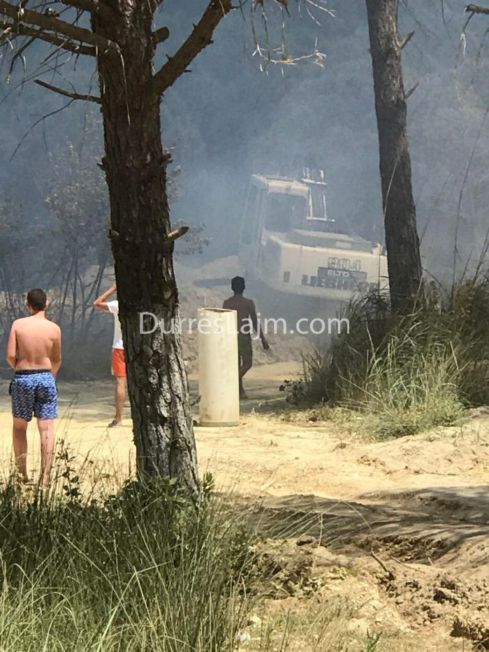 FOTO GALERI & VIDEO GALERI/ Zjarr i madh te Gjiri i Lalzit, digjen edhe disa makina