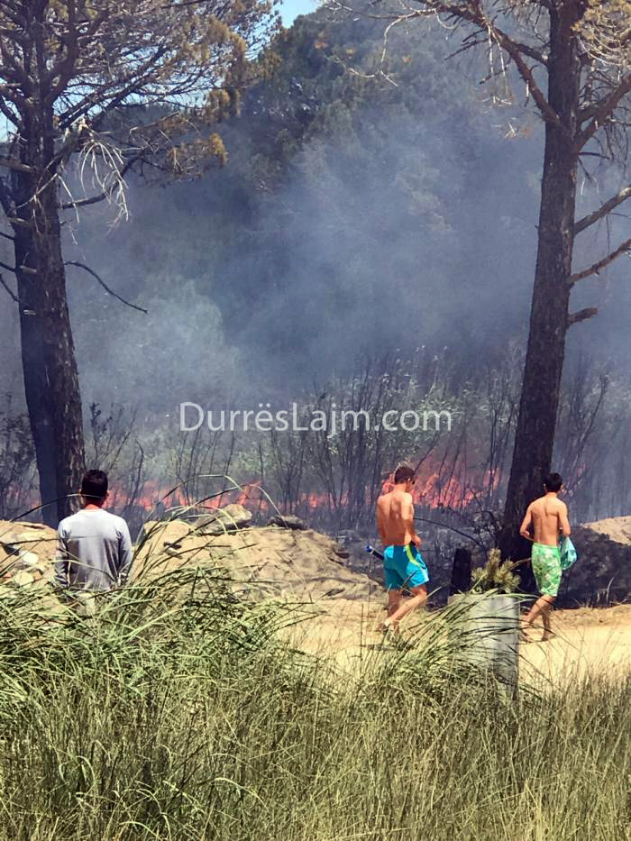 FOTO GALERI & VIDEO GALERI/ Zjarr i madh te Gjiri i Lalzit, digjen edhe disa makina