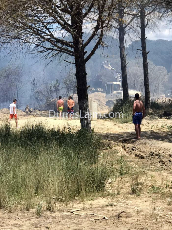 FOTO GALERI & VIDEO GALERI/ Zjarr i madh te Gjiri i Lalzit, digjen edhe disa makina