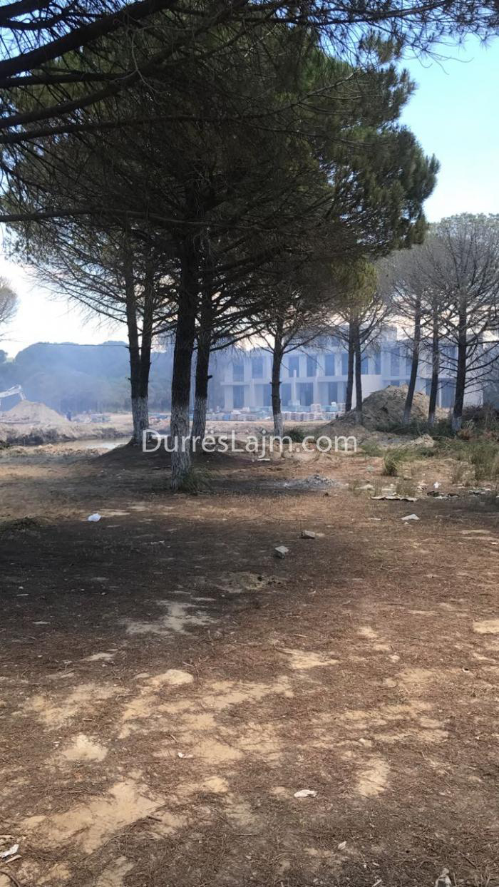 FOTO GALERI & VIDEO GALERI/ Zjarr i madh te Gjiri i Lalzit, digjen edhe disa makina