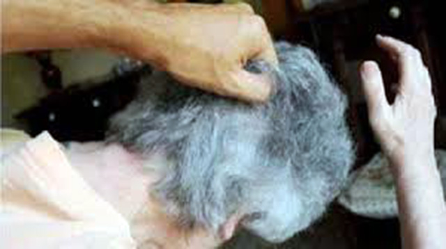 Tiranë, djali me ndihmën e gruas dhunonte prindërit e tij