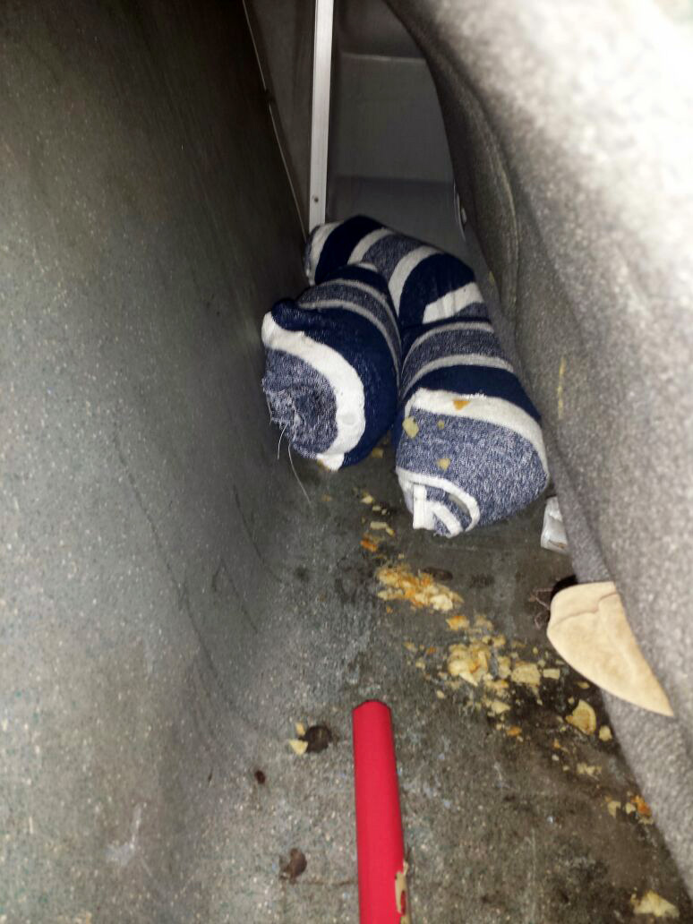 EMRI & FOTO GALERI/ Porti Durrës, drogë me autobus drejt Italisë, prangoset shoferi