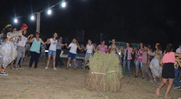 FOTO LAJM/ Në Shqipëri nuk kultivohet vetëm kanabis, njihuni me fshatin që prodhon deri 100 ton rigon në vit