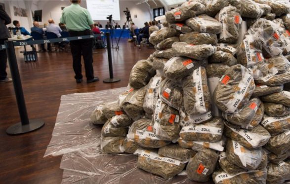 Gjermani, marihuana shqiptare “mbyt” Mynihun, bllokohen 550 kg