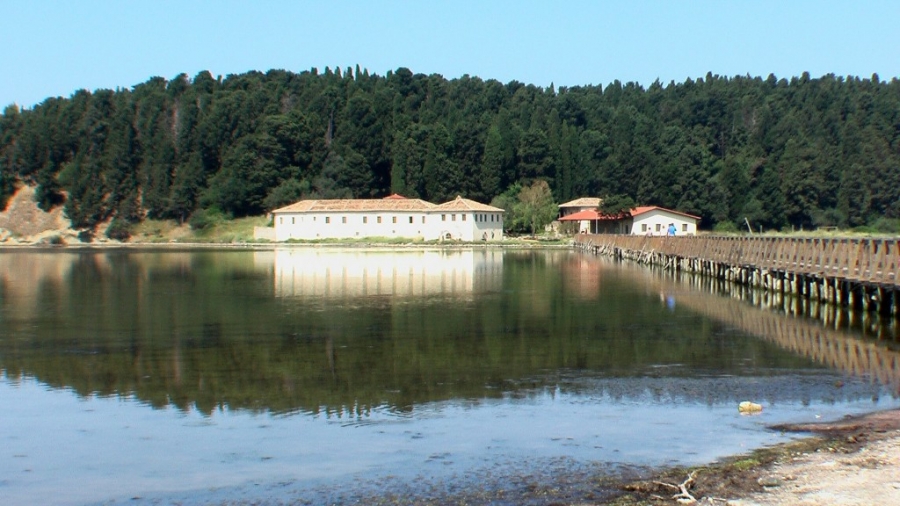 SKANDAL/ Narta kthehet në vend për magazinimin e karburanteve