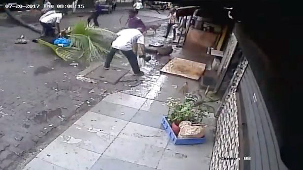 VIDEO/ Bie palma, godet për vdekje gazetaren e njohur