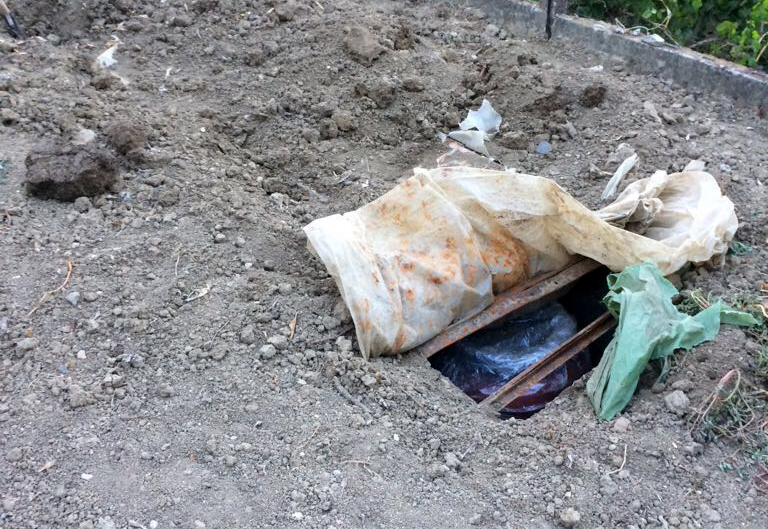 FOTO GALERI/ Vlorë, në Drithas gjendet kanabis e groposur në bahçe