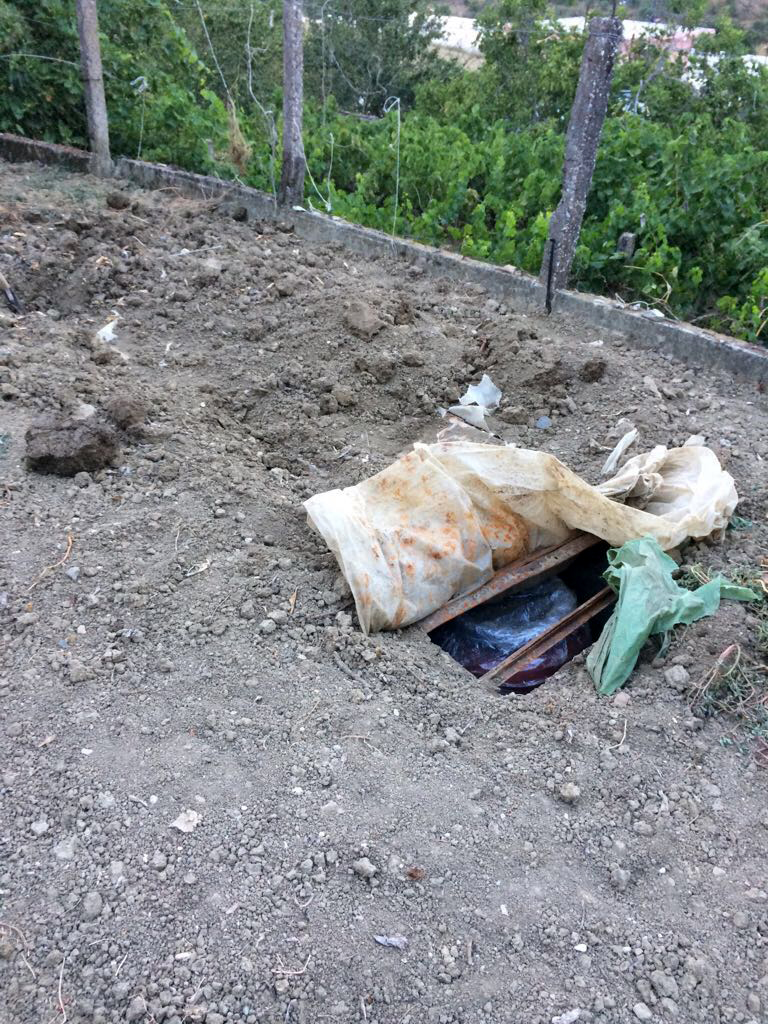 FOTO GALERI/ Vlorë, në Drithas gjendet kanabis e groposur në bahçe