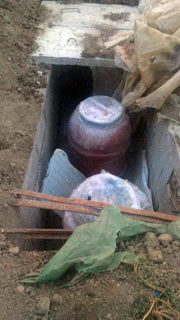 FOTO GALERI/ Vlorë, në Drithas gjendet kanabis e groposur në bahçe