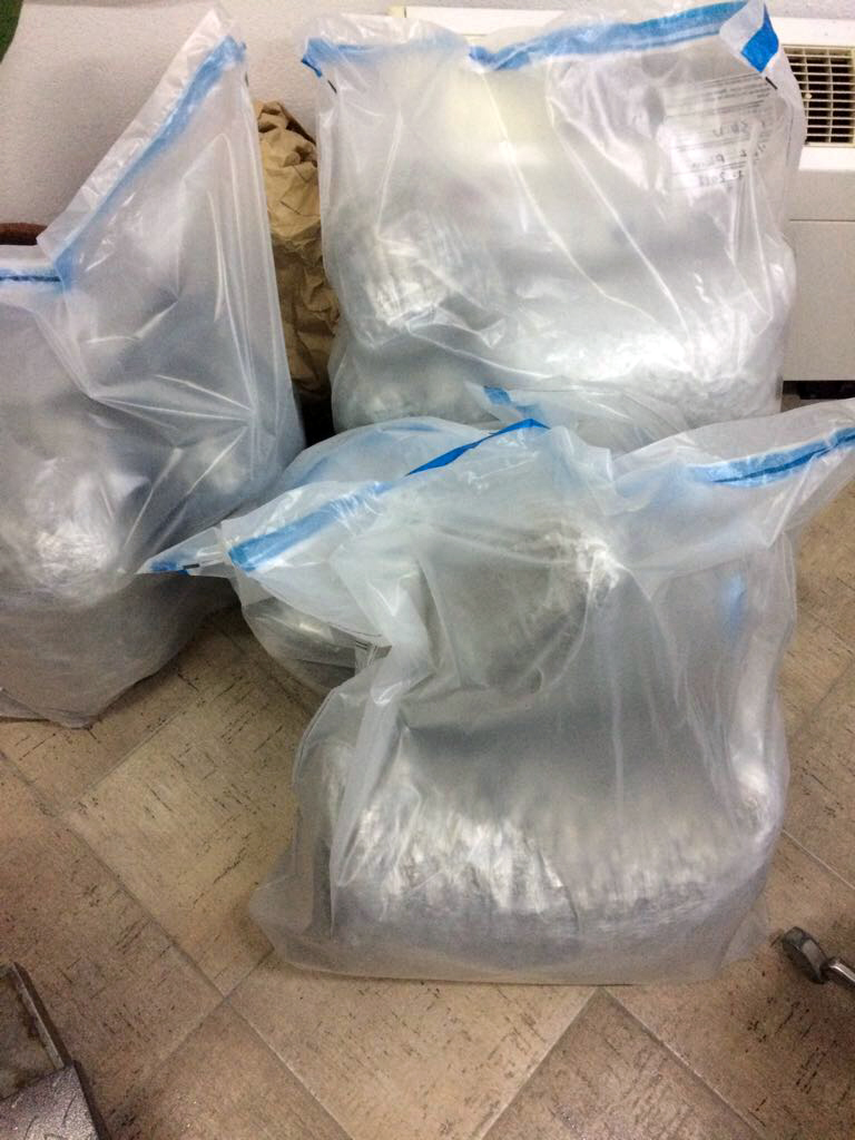 FOTO GALERI/ Vlorë, në Drithas gjendet kanabis e groposur në bahçe