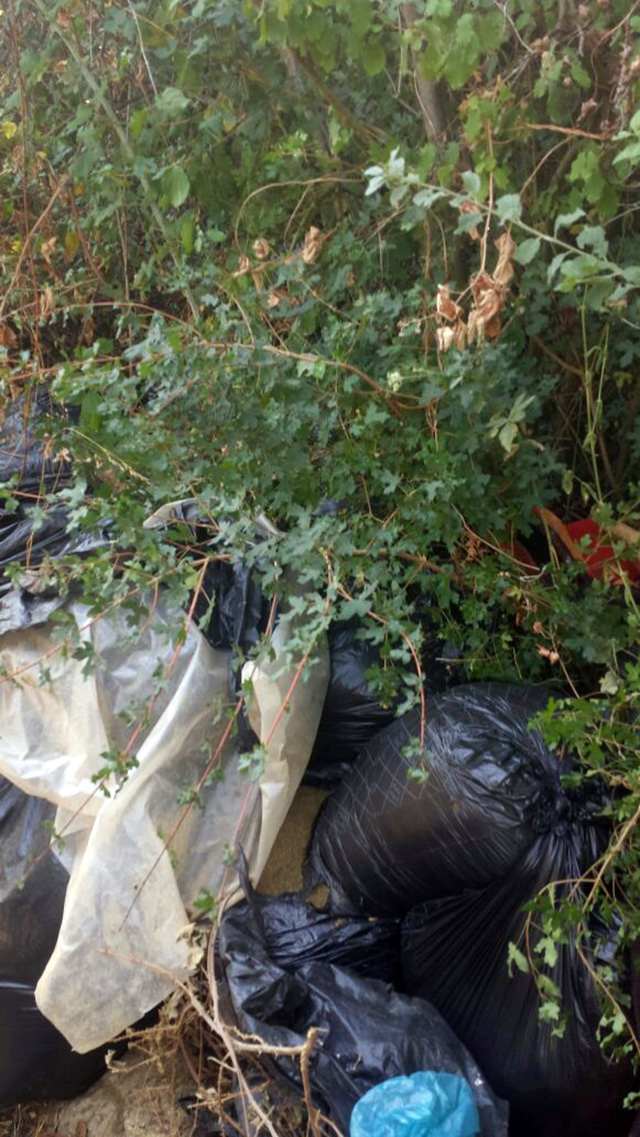 FOTO GALERI/ Vlorë, qeni i Policisë gjen në Drithas 600 kg kanabis
