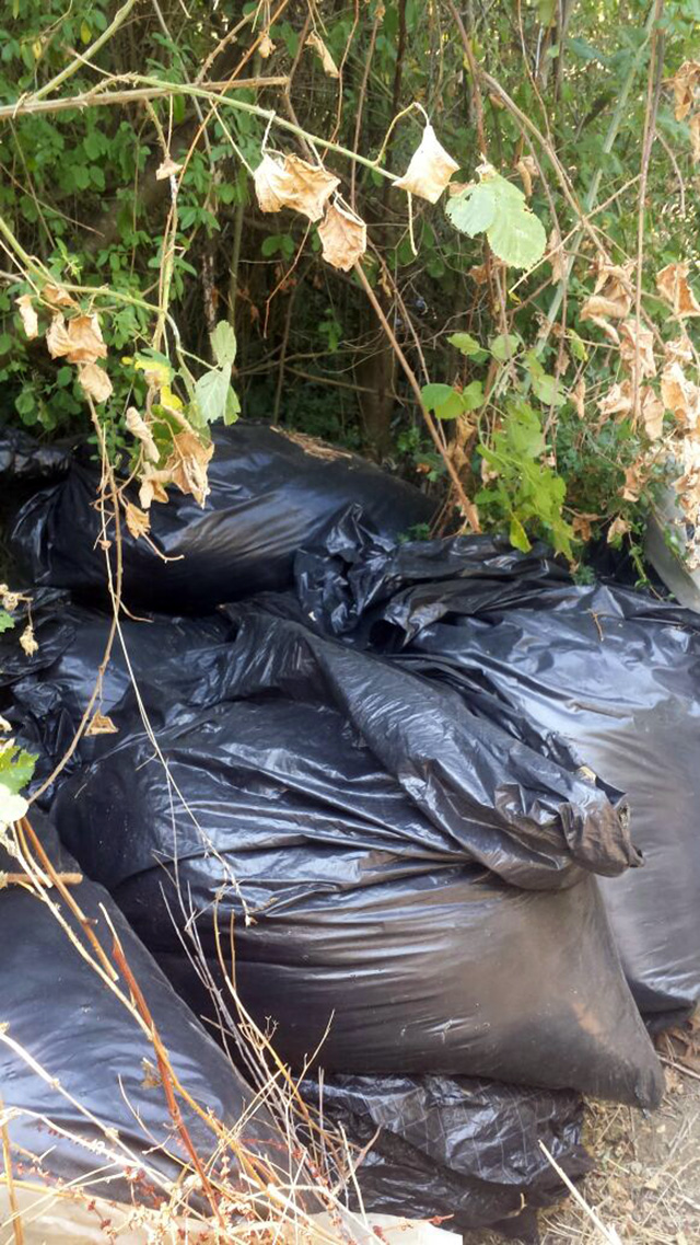 FOTO GALERI/ Vlorë, qeni i Policisë gjen në Drithas 600 kg kanabis