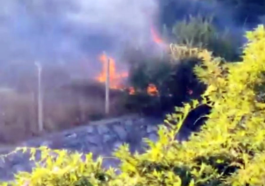 FOTO/ Dajt, zjarr i madh në mal, rrezikohen antenat e kompanive celulare