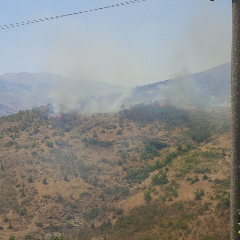 FOTO/ Fshati “Asim Zeneli” përfshihet nga flakët, zjarri arrin në dritaret e banesave