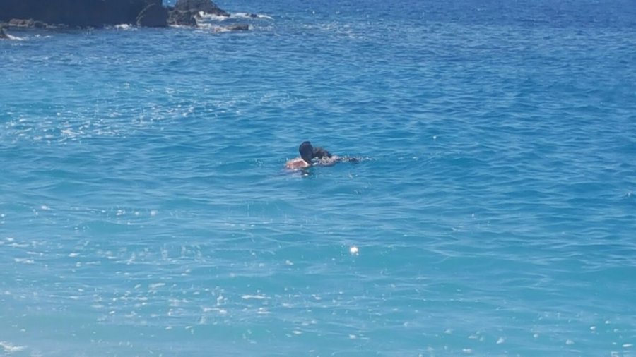 FOTO/ Jalë, qeni bën mrekulli – shpëton të zotin nga mbytja dhe qan nga gëzimi