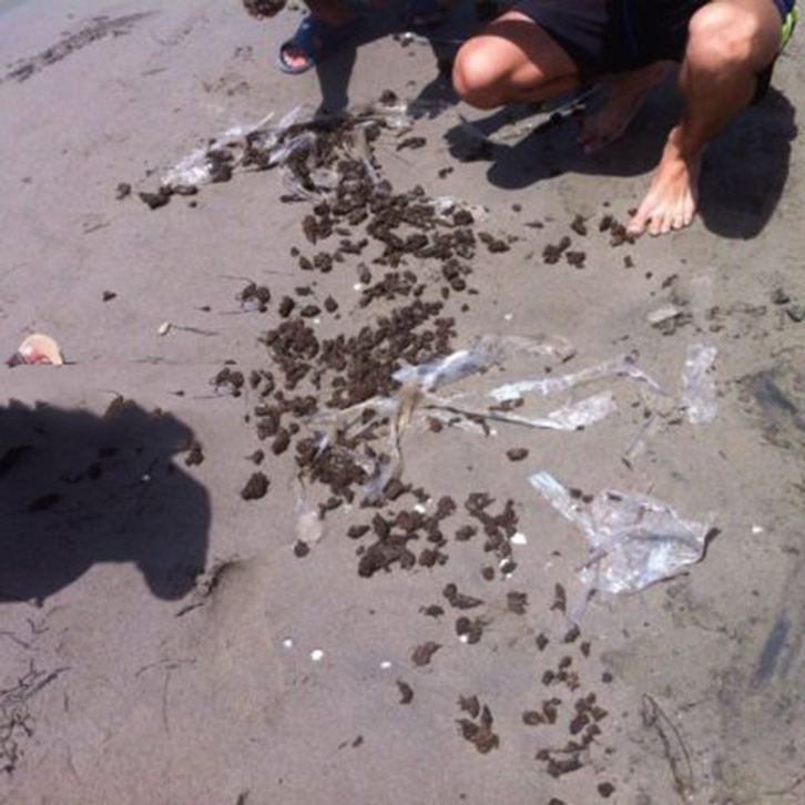 FOTO GALERI/ Vlorë, deti me bereqet, nxjerr edhe drogë