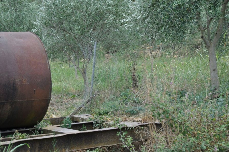 EMRI & FOTO/ Vlorë, sekuestrohen 300 kg drogë, në pranga pronari