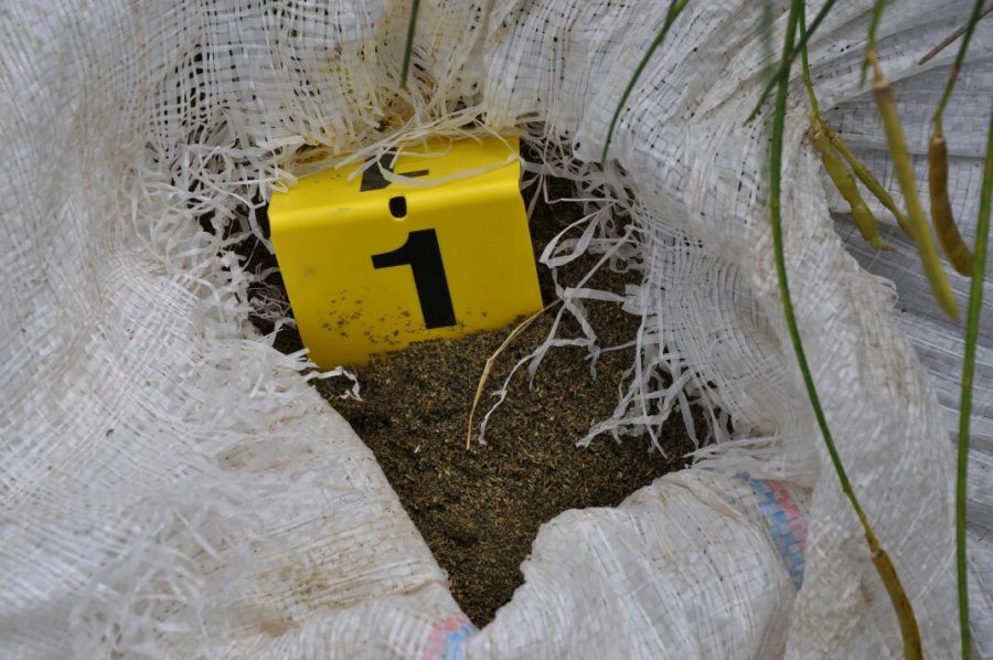 EMRI & FOTO/ Vlorë, sekuestrohen 300 kg drogë, në pranga pronari