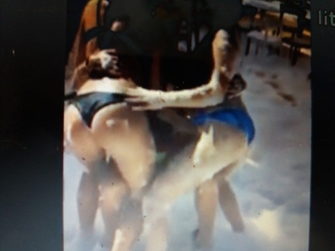 VIDEO/ Tre femrat që po harbojnë Shëngjinin, skena të nxehta