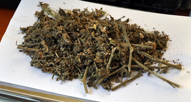 HUMOR POLICIE/ Korçë, Policia kontrollon një magazinë dhe gjen një grusht mbeturinash kanabisi