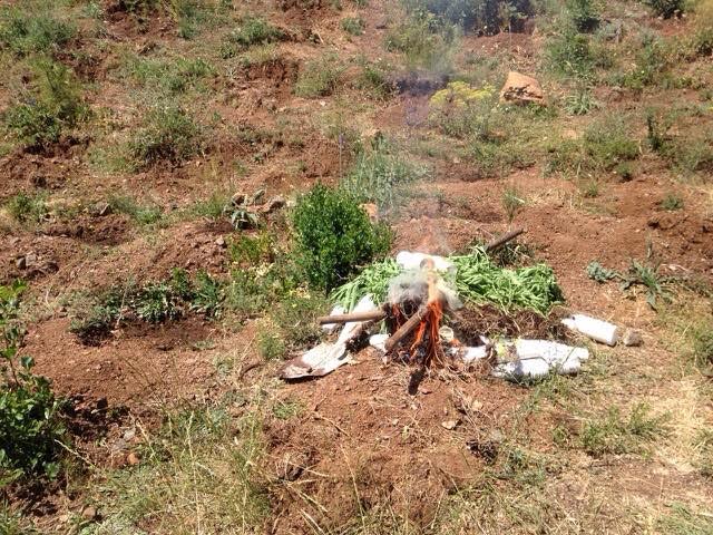 FOTO/Te Përroi i Qershisë, ja cfarë gjen policia