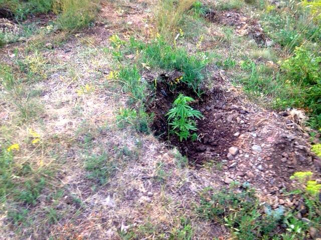 FOTO/Te Përroi i Qershisë, ja cfarë gjen policia