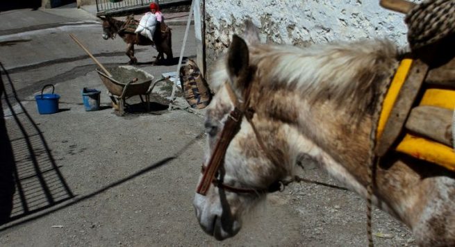 SPECIALE/ “Bullgarët” shqiptarë zbrazin fshatin për pasaportat e BE-së