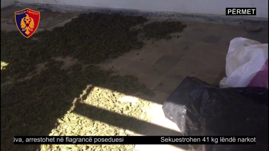 VIDEO/ Përmet, sekuestrohen dhjetëra kg hashash, një person në pranga