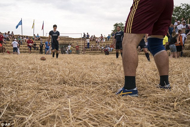 FOTO GALERI/ Fermeri ndërton stadiumin prej kashte