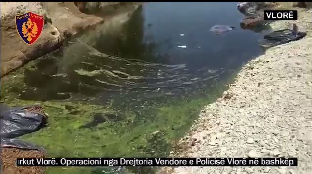 VLORË/ Kanabisi fshihet në pellgjet me ujë të Shushicës