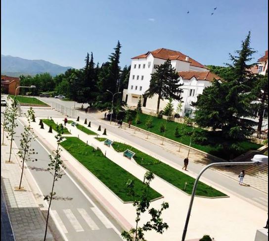 UPDATED/Rritet numri i personave të helmuar në Tropojë, situatë epidemike