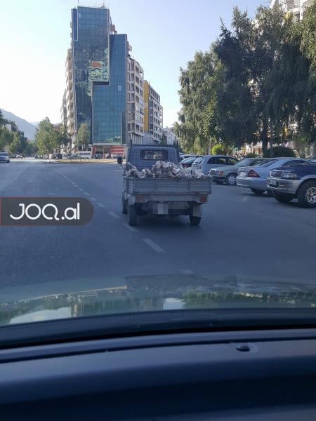 FOTO SKANDALOZE/ Ja çfarë mishi konsumojmë ne dhe në çfarë kushtesh transportohet