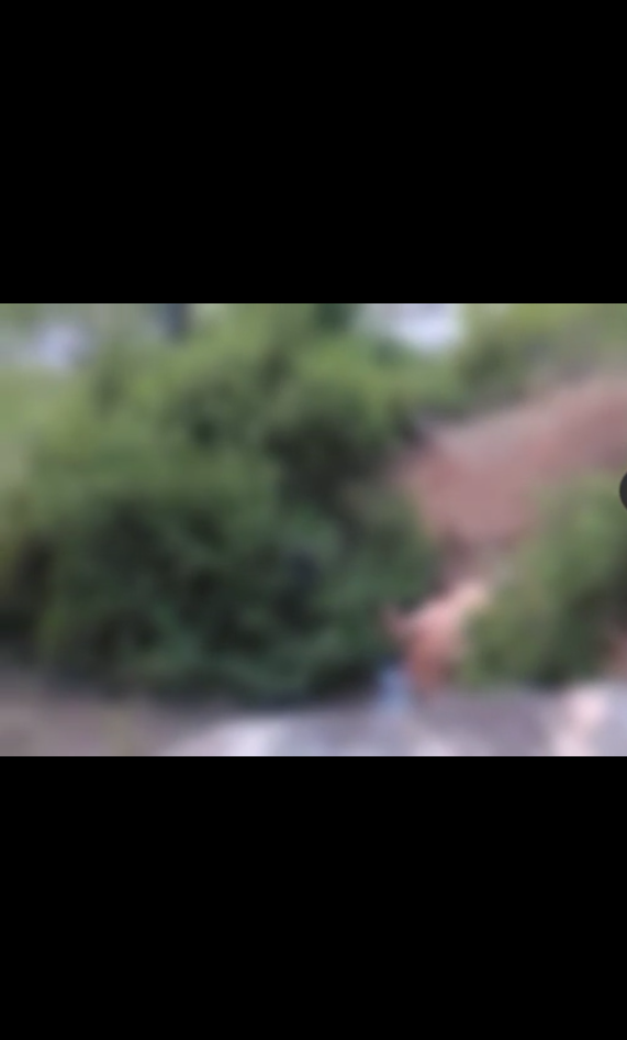 Seks në natyrë, çifti në Shkodër çmend adoleshentët me skena të nxehta